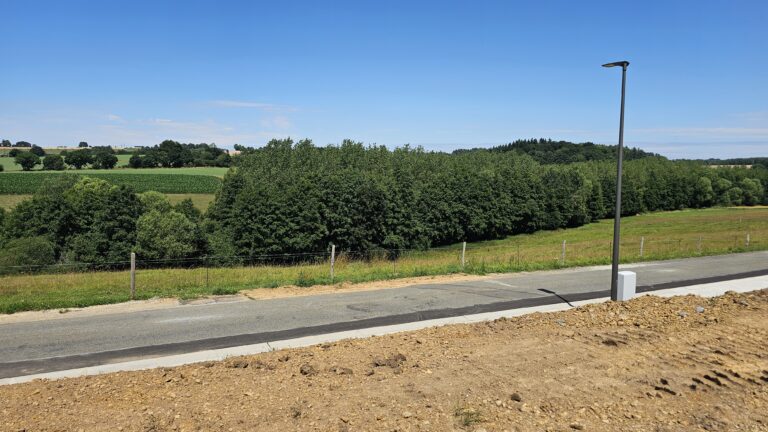 Un chemin rural du Hamois longe un terrain herbeux et une rangée d'arbres sous un ciel bleu clair, avec un réverbère et un sol nu au premier plan.