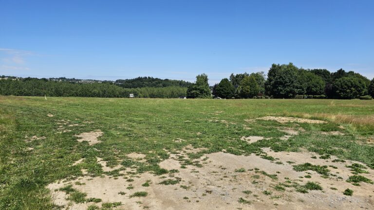 Un grand terrain herbeux de 12 ares avec quelques zones de sol nu sous un ciel bleu clair, bordé d'arbres au loin dans le Hamois.