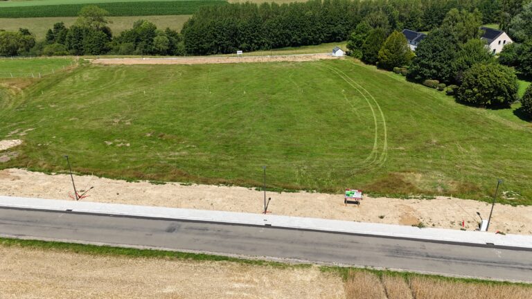 Un grand terrain herbeux de 12 ares dans le Hamois, bordé d'arbres, avec une route goudronnée et un trottoir au premier plan et quelques maisons visibles à droite.