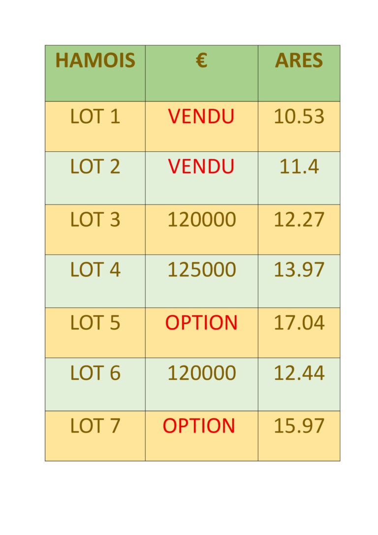Un tableau présente sept terrains à Hamois avec leur statut (VENDU ou OPTION), les prix en euros, et les tailles jusqu'à 12 ares.