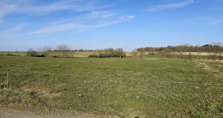 Champ herbeux ouvert avec des arbres épars, ciel bleu clair, et deux tours radio distantes visibles à l'horizon.